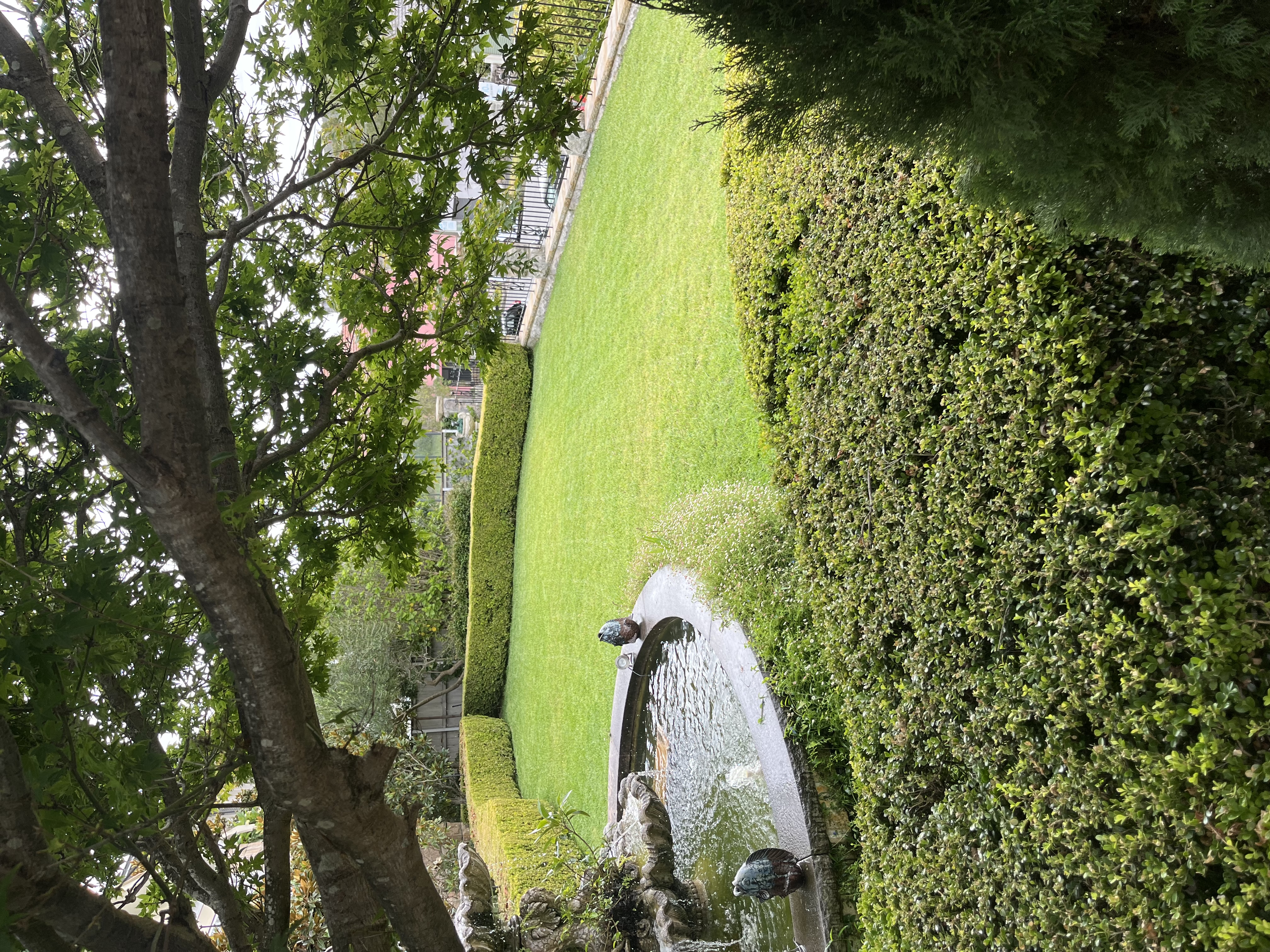 Lawn and hedge maintenance North Shore Sydney - ETF Gardens